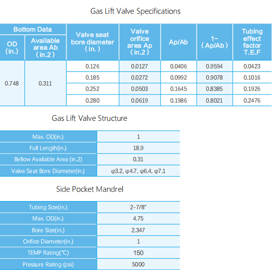 GAS LIFT VALVE AND.jpg